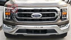 فۆرد F-150